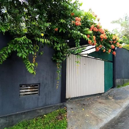 Hotel Sunny Side 89 Galle Zewnętrze zdjęcie