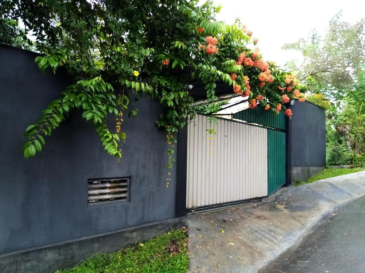 Hotel Sunny Side 89 Galle Zewnętrze zdjęcie
