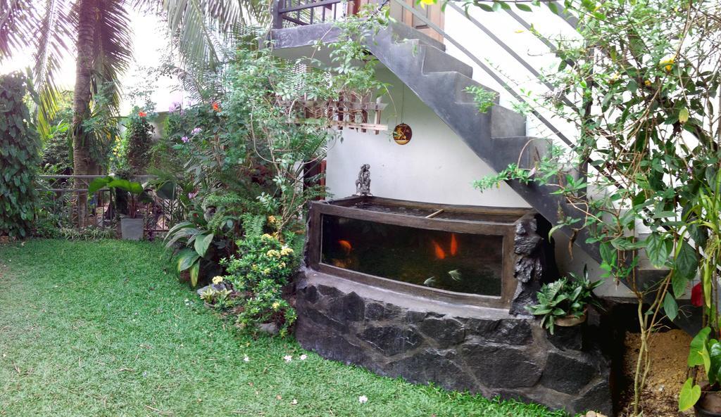 Hotel Sunny Side 89 Galle Zewnętrze zdjęcie